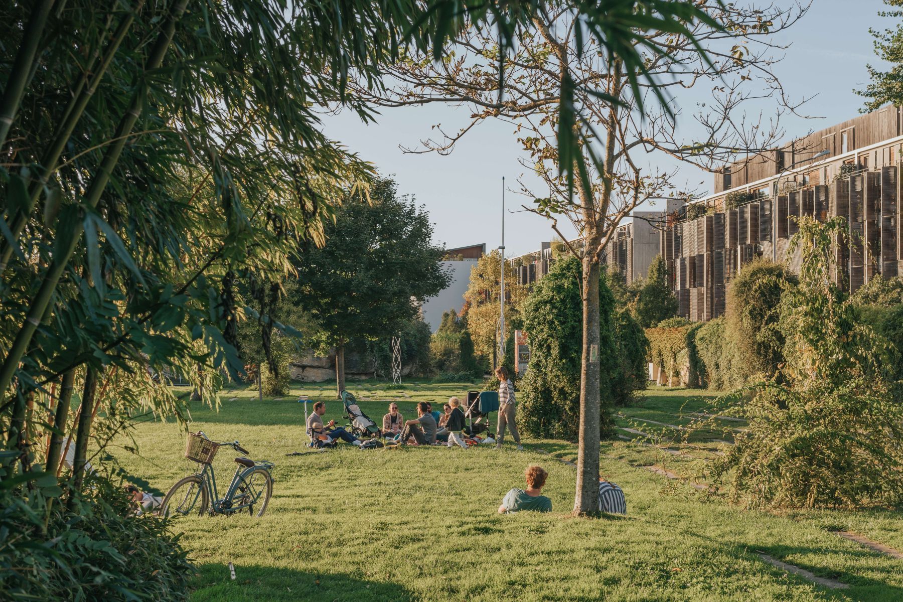 jardin botanique