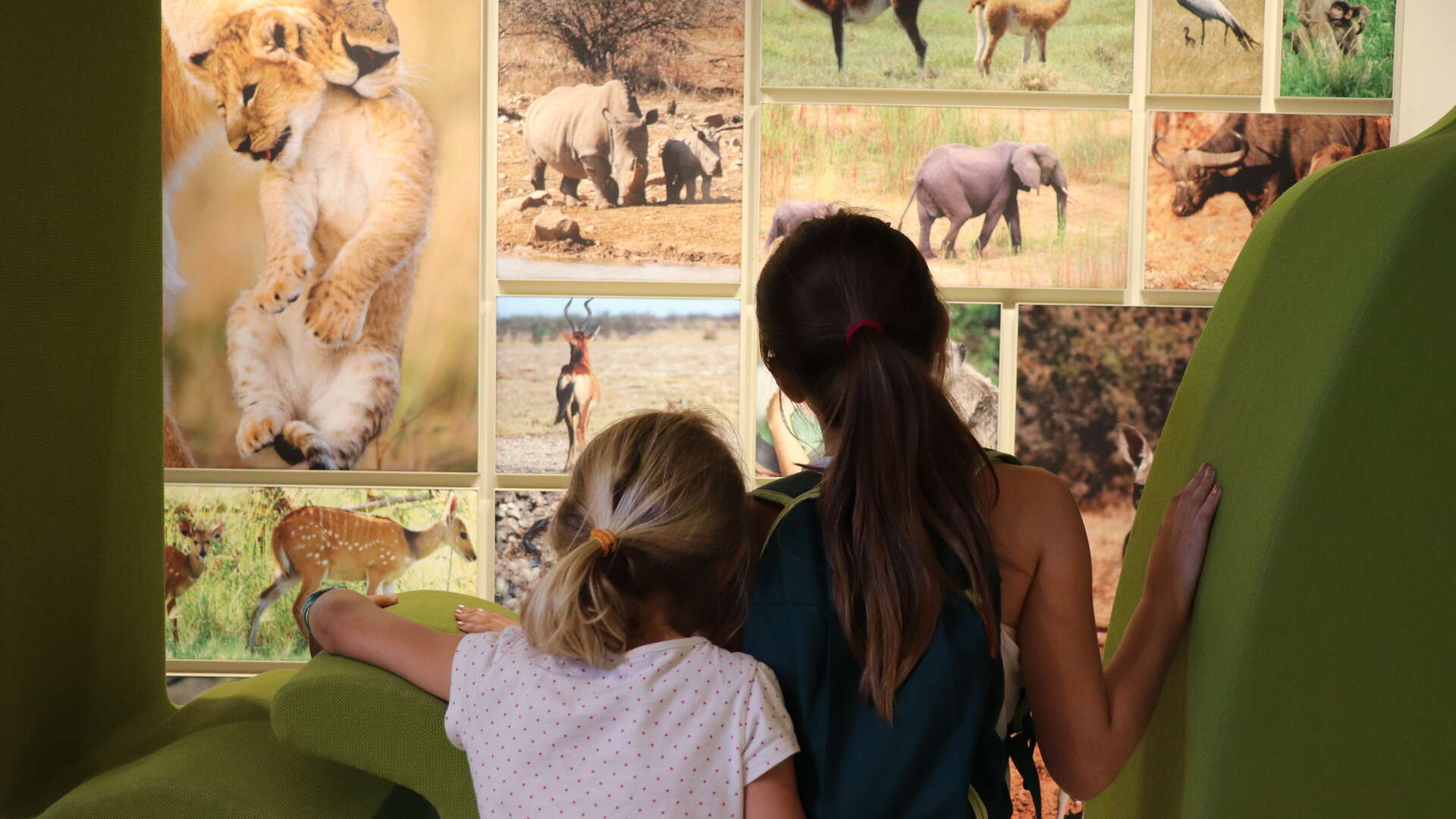 Enfants au Muséum sciences et nature ©Marie Blanchard