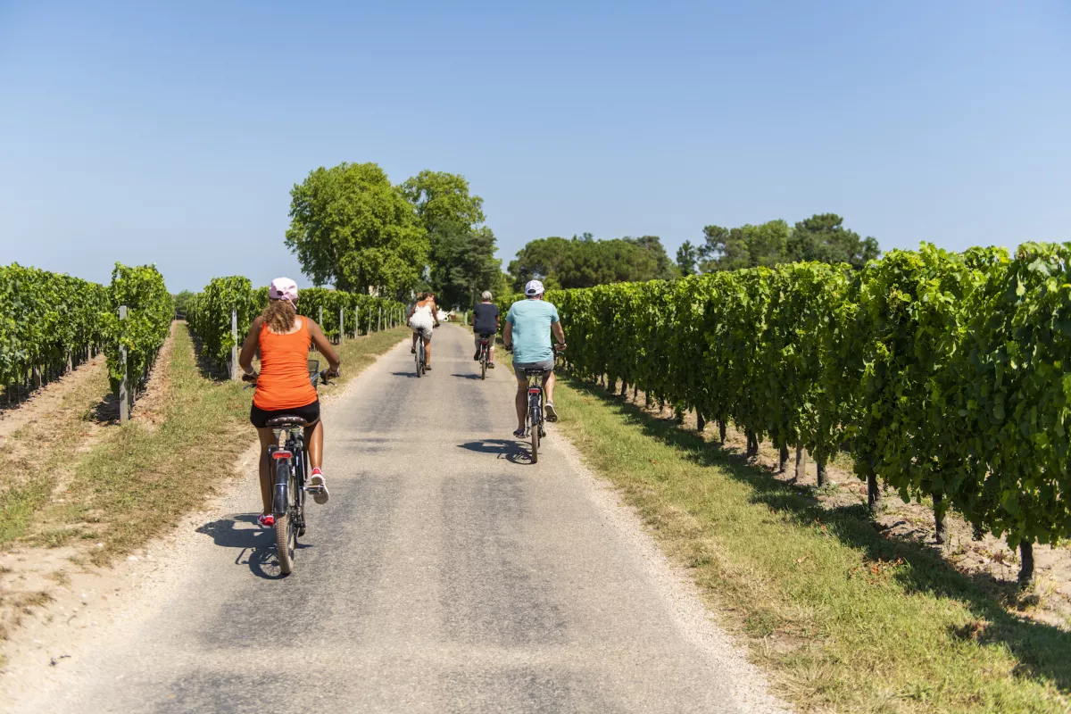 Découvrir et visiter le vignoble à vélo à Bordeaux