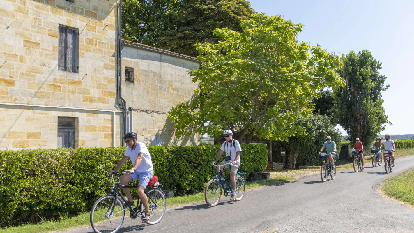 À vélo à Saint-Émilion