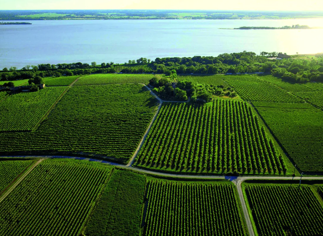 Les Vignerons de Tutiac - vignoble durable près de Bordeaux