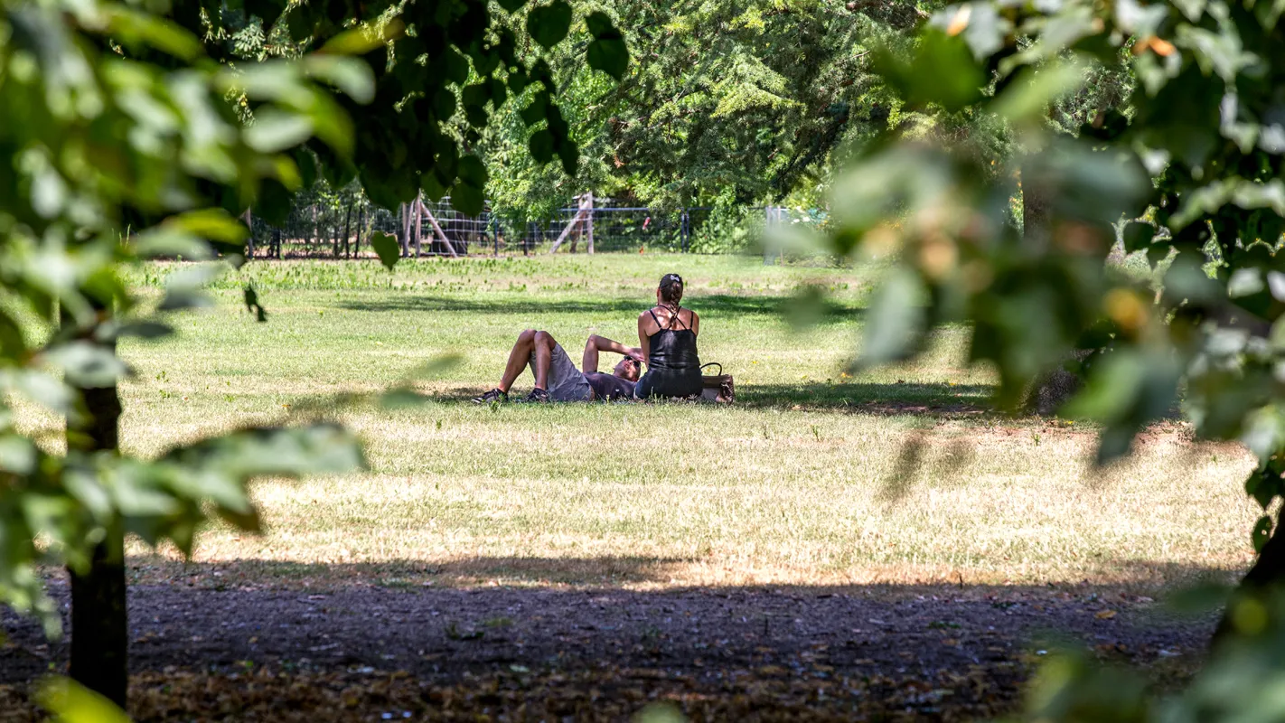 Parc bordelais